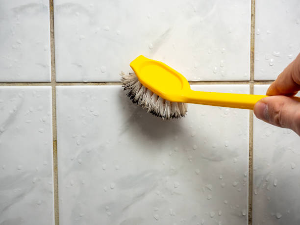 Mold Removal Process in Woodstock, AL