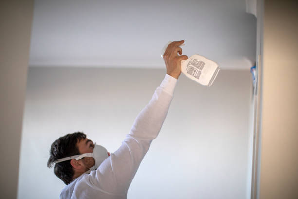 Best Mold Remediation  in Woodstock, AL
