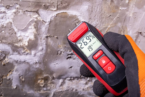 Mold Removal and Inspection in Woodstock, AL