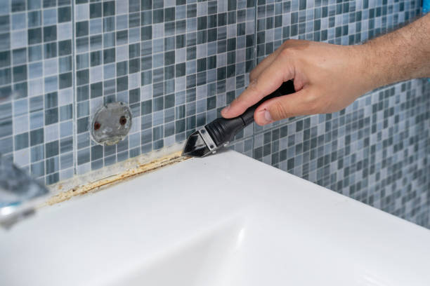 Best Mold Removal Near Me  in Woodstock, AL