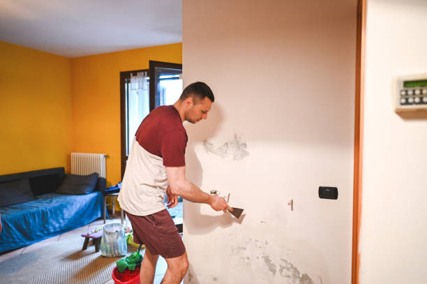 Best Toxic Mold Removal  in Woodstock, AL